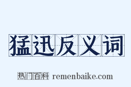 猛迅反义词是什么意思的图片
